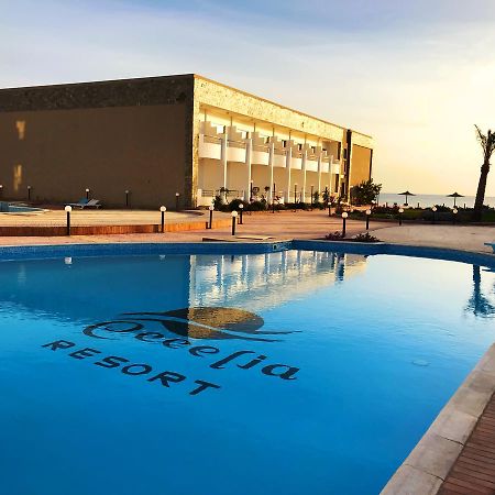 Cecelia Resort Хургада Екстер'єр фото